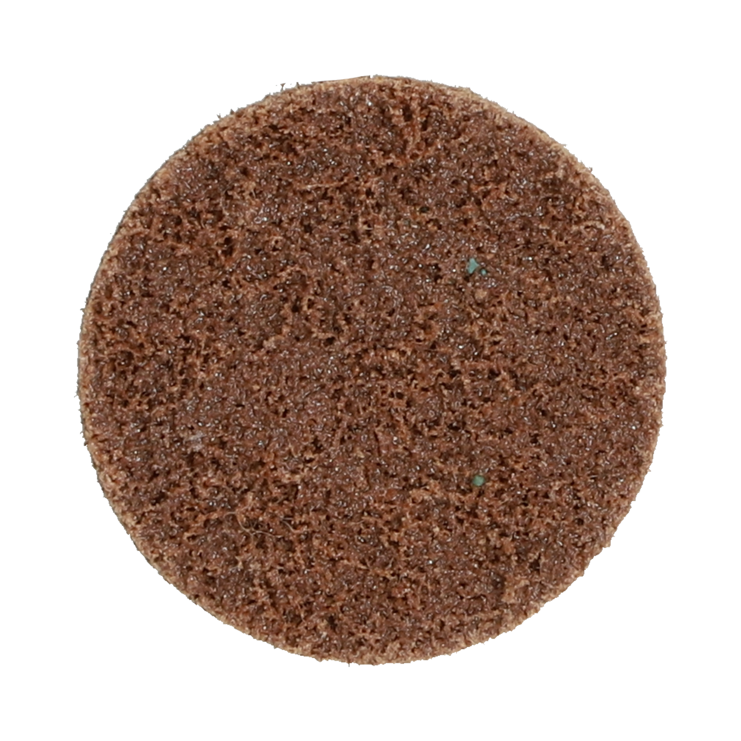Image 1 of Minischijf vortex rapid prep